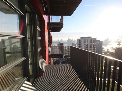 Picture 8